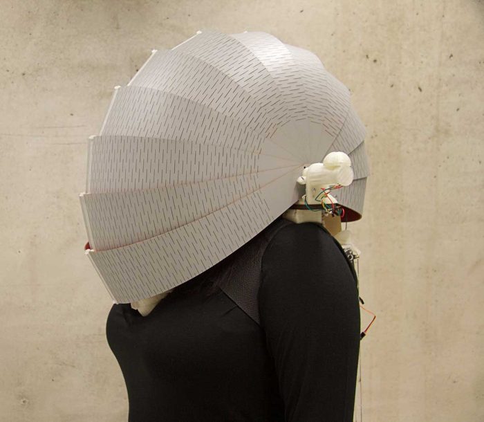 Environment Dress 2.0
