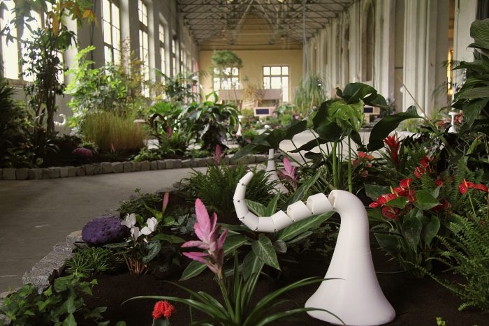 Jardín Sensorial