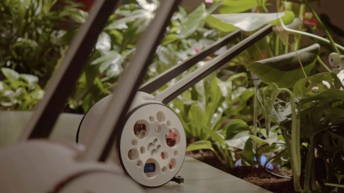 Ecosistema Biónico